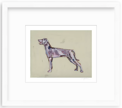 Weimaraner Fine Art Print