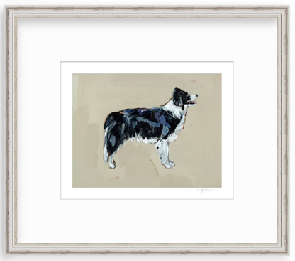 Border Collie Fine Art Print