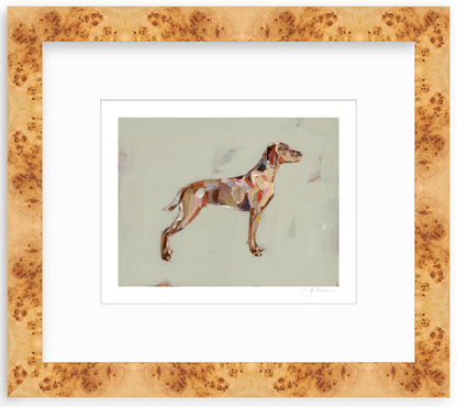 Vizsla Fine Art Print