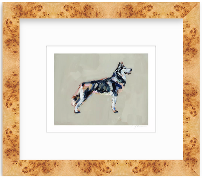 Siberian Husky Fine Art Print