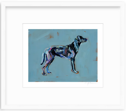 Black Lab (blue background) Fine Art Print